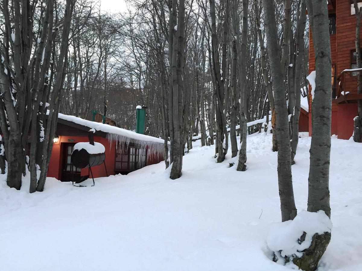 אושואיה Cabanas Bosque Del Faldeo מראה חיצוני תמונה