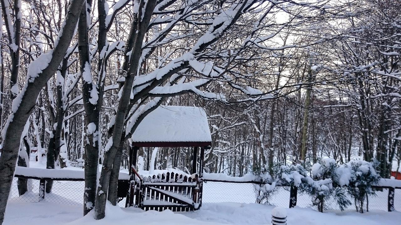 אושואיה Cabanas Bosque Del Faldeo מראה חיצוני תמונה
